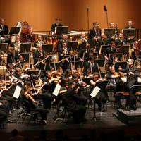 Nafarroako Orkesta Sinfonikoak kontzertua eskainiko du apirilaren 20an Lesakan