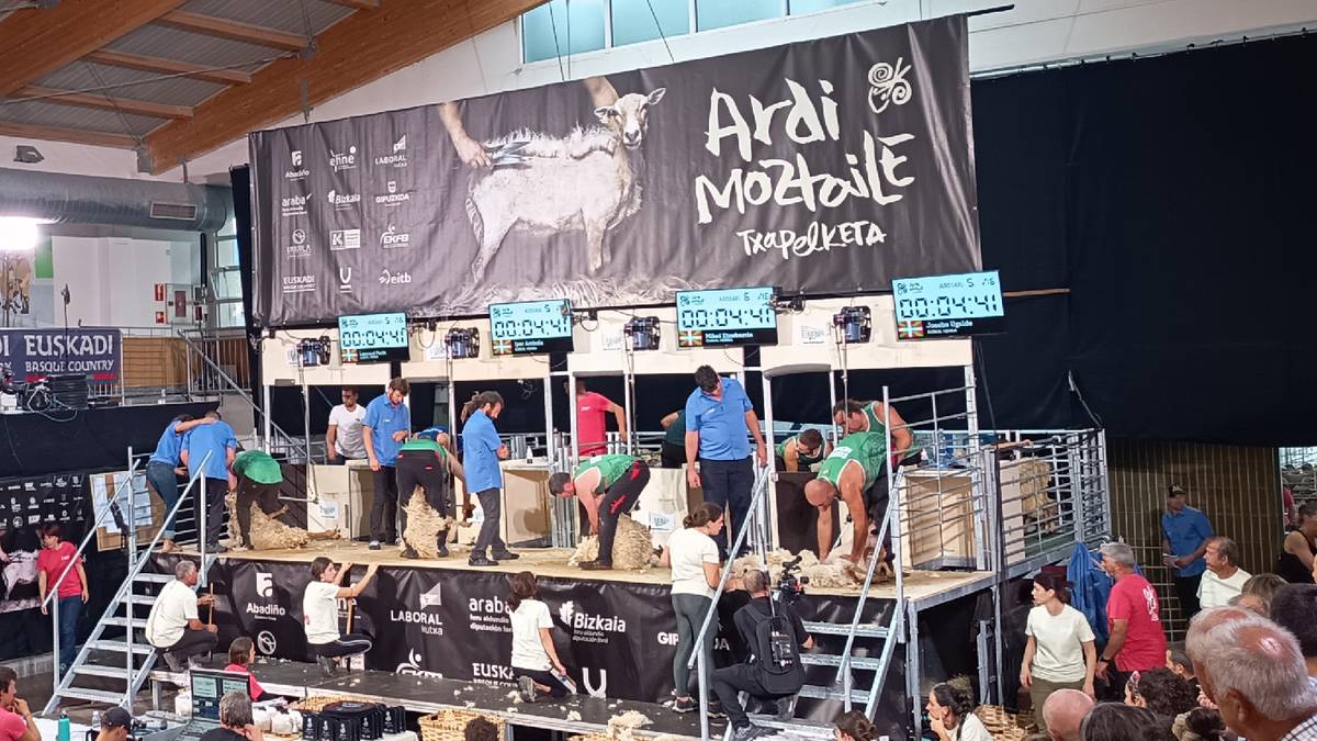 Euskal Herriko Ardi Moztaile Txapelketa irailaren 19an eginen dute Elizondon