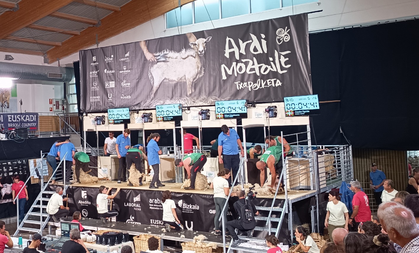 Euskal Herriko Ardi Moztaile Txapelketa irailaren 19an eginen dute Elizondon