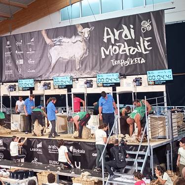 Euskal Herriko Ardi Moztaile Txapelketa irailaren 19an eginen dute Elizondon