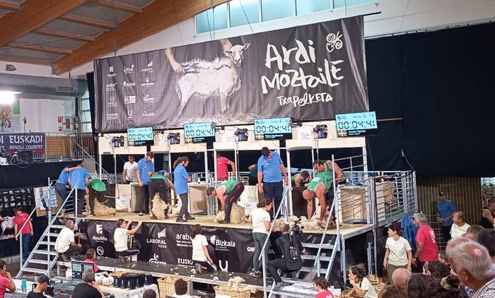 Euskal Herriko Ardi Moztaile Txapelketa irailaren 19an eginen dute Elizondon