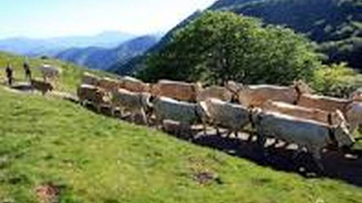 Baztango herri lurren banaketa irizpideak eta ordenantza aldaketa azaltzeko bilkurak