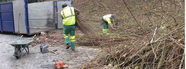 Beran kimatzen ari diren zuhaitzen adarrekin txirbila egiten ari dira