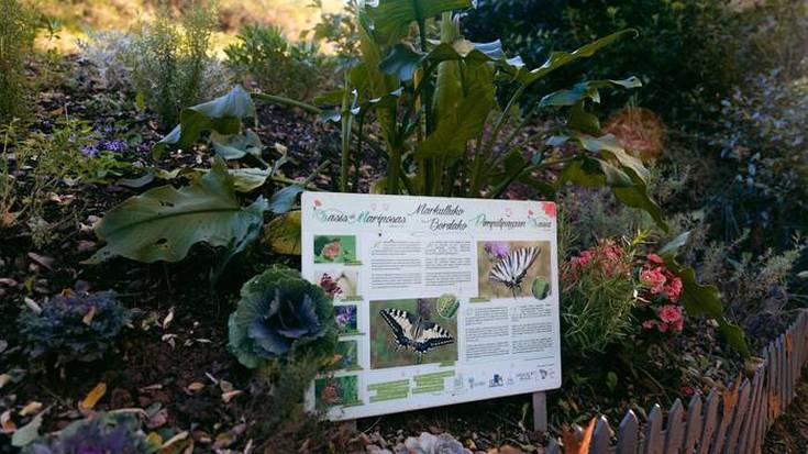 Nafarroa Aztarna Positiboa: Markulluko Bordako pinpilipauxen oasian barrena