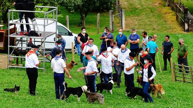 Juan Miurak eta Luk zakurrak irabazi dute Amaiurko XLV. Artzain zakurren txapelketa