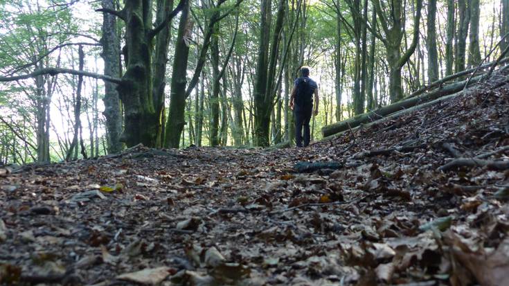 Artikutzako burdinolen bidearen bisita gidatua eginen dute martxoaren 26an