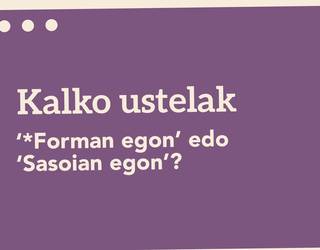 ‘*Forman egon’ edo ‘Sasoian egon’?