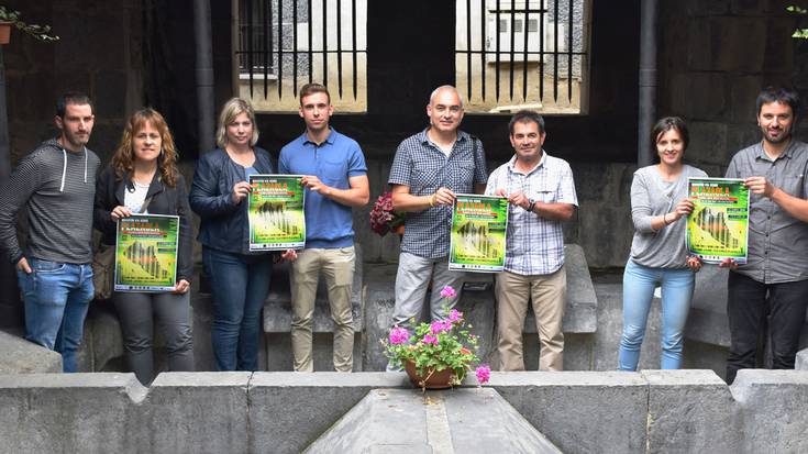 Plazaolako Bide Berdeko maratoia eta maratoi erdia irailaren 17an