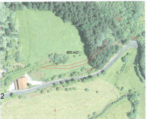 Plazaolako natur bidean Telleri pareko puntu beltzari aterabidea bilatu dio Leitzako Udalak