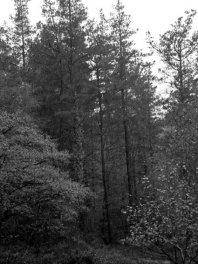 Suteak, urtetako lanak izorratzen ditu