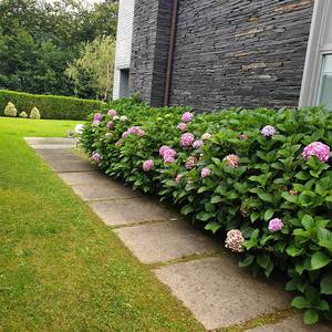 LORATEGIEN MANTENTZE-LANAK