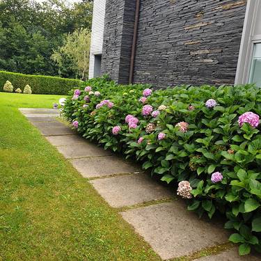 LORATEGIEN MANTENTZE-LANAK