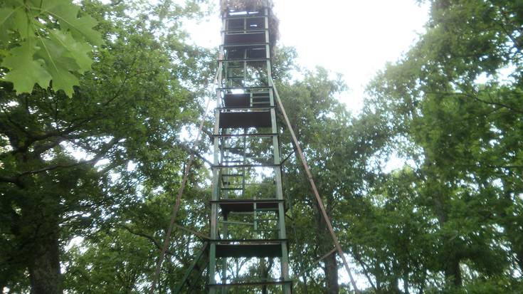 Beintza-Labaiengo usategiak enkantean aterako dituzte