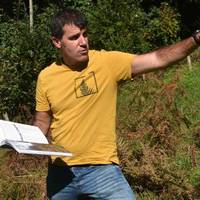 'Fiesta del Àrbol. Estatu Batuetatik Goizuetara'