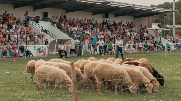 Artzain Txakur Lehiaketa eta dantza ikusgarria izanen dute agorrilaren 4an Senperen