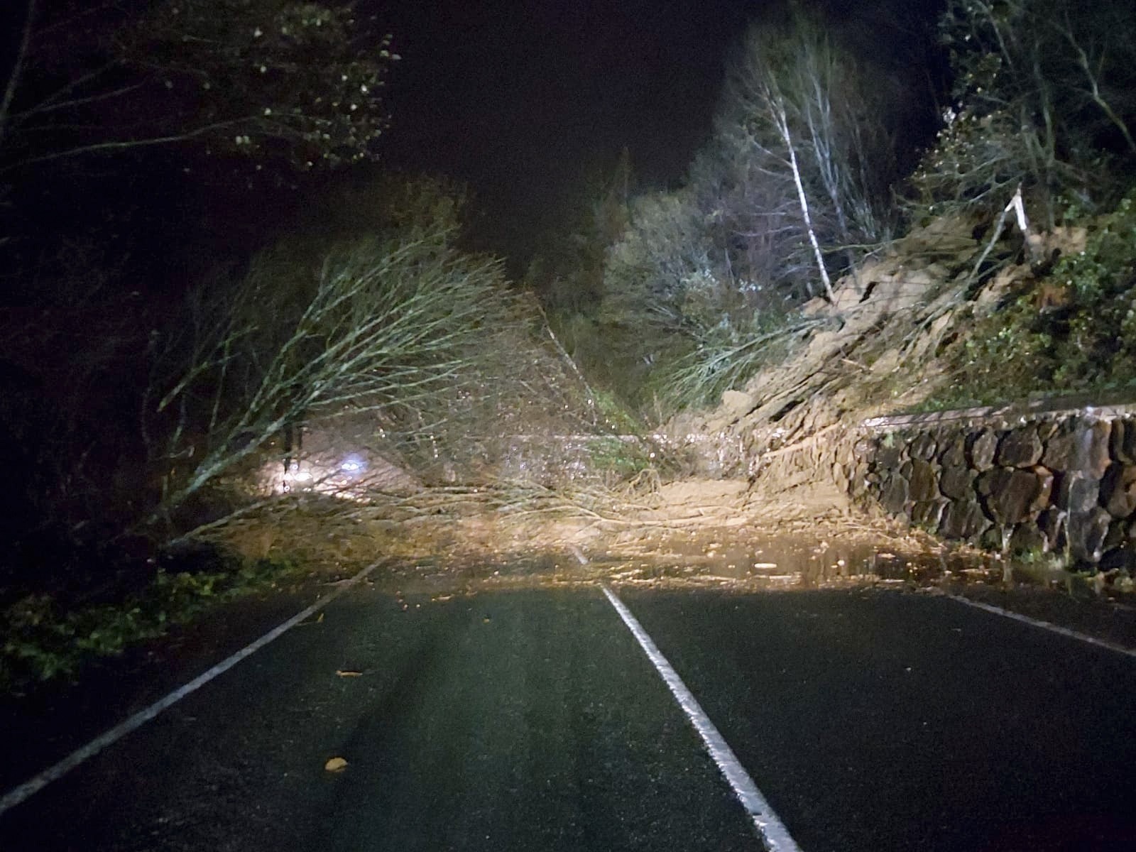 Leitza eta autobidea lotzen dituen errepidea itxita dago erortza batengatik