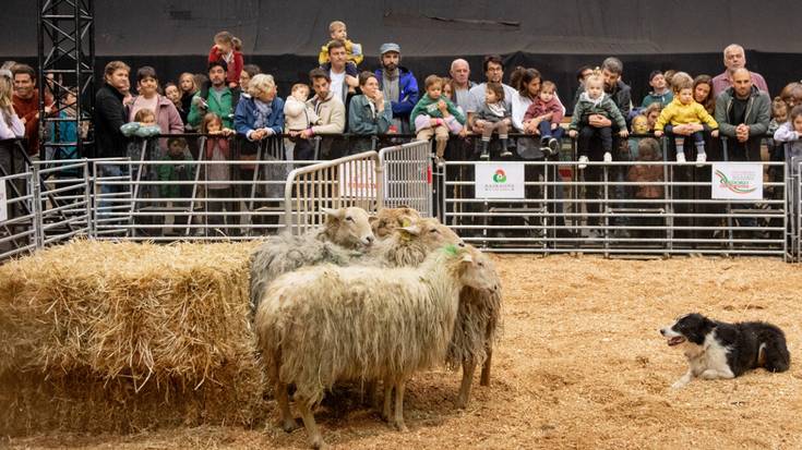 25.000 lagun Lurramaren 20. ekitaldian