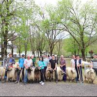 Udaberriko Feria eginen dute apirilaren 25ean Elizondon