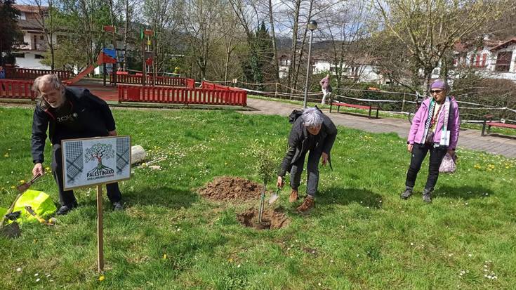 Olibondo bat landatu dute Beran Palestinako genozidioa bukatu dadin eskatzeko