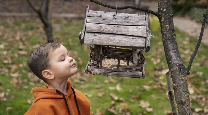 Intsektuen hotelak egiteko aukera izanen da asteartean Leitzako liburutegian