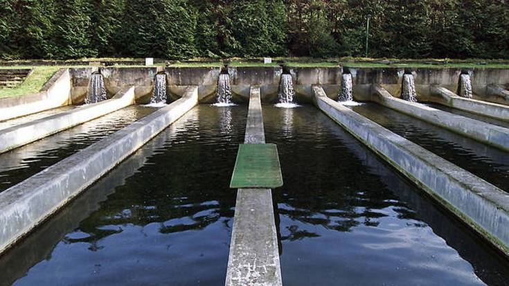 Oronoz-Mugairiko arrain-haztegia zaharberritzeko lan deialdia egin dute