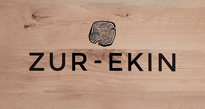 ZUR-EKIN ZURGINDEGIA logotipoa