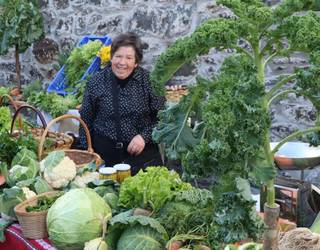 Goizuetan Feria Eguna ospatuko dute azaroaren 29an