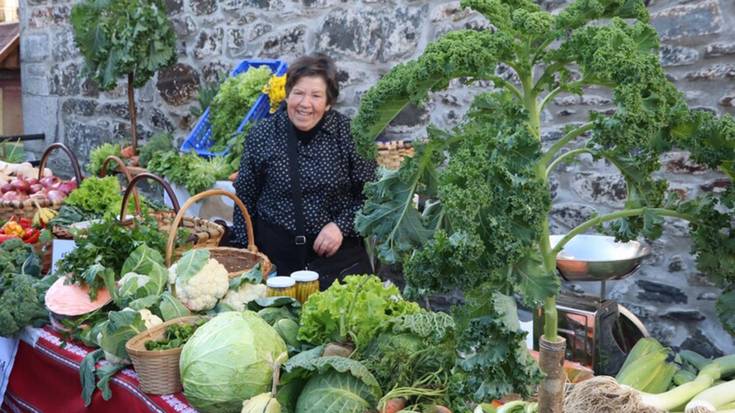 Goizuetan Feria Eguna ospatuko dute azaroaren 29an