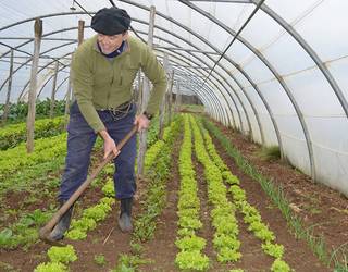 Barazkiekin Lesakako merkatu ttikira