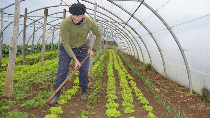 Barazkiekin Lesakako merkatu ttikira