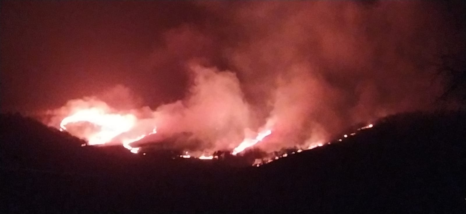 Gauez eta hego haizearekin, sute handi bat hedatu da Oteixon eta Bertiz aldean