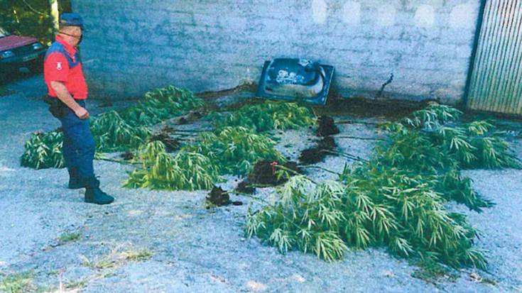 53 urteko lesakar bat atxilotu dute droga trafikoa leporatuta