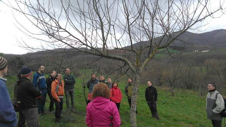 Fruta-arbolak inausteko ikastaroa egin dute Baztanen Xabier Akizurekin 