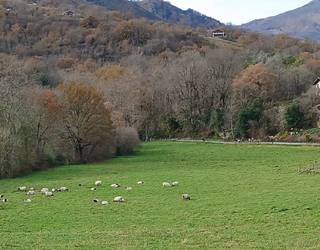 Hainbat hobekuntza egiten ari dira Zugarramurdiko leze inguruan