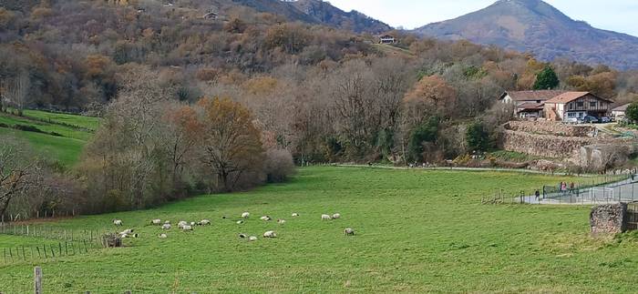 Hainbat hobekuntza egiten ari dira Zugarramurdiko leze inguruan
