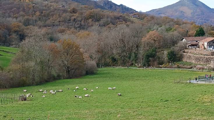 Hainbat hobekuntza egiten ari dira Zugarramurdiko leze inguruan
