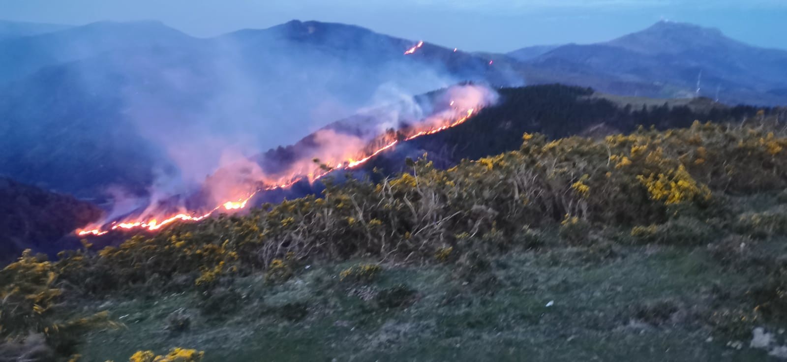 Lesakako Udalak herritarrei suteak eragindako kalteen berri emateko deia egin die