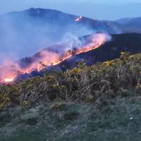 Lesakan mendiko suteen aurkako udal jarduketa plana otsailaren 5ean aurkeztuko dute