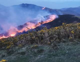 Lesakan mendiko suteen aurkako udal jarduketa plana otsailaren 5ean aurkeztuko dute