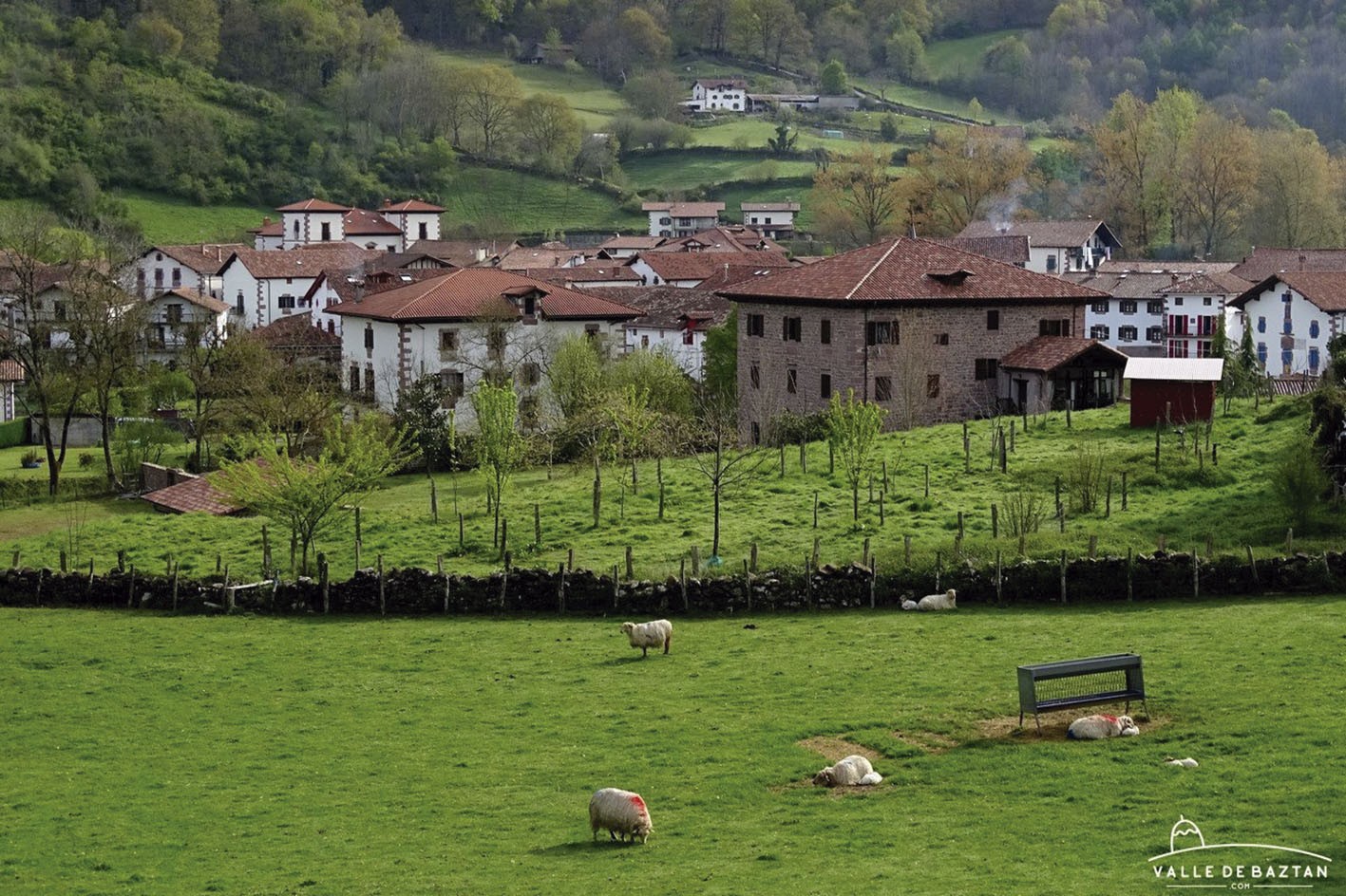 Valledebaztan.com atari turistikoak hogei urte bete ditu