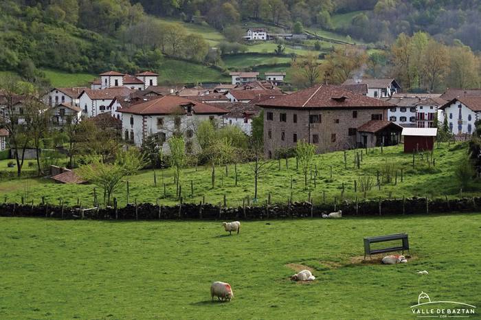 Valledebaztan.com atari turistikoak hogei urte bete ditu