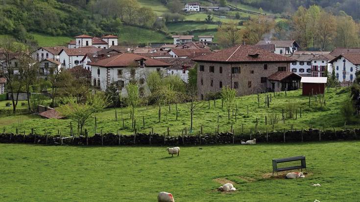 Valledebaztan.com atari turistikoak hogei urte bete ditu