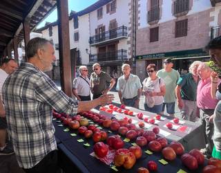 47 tomate barietate aurkeztu zituzten Doneztebeko lehiaketan
