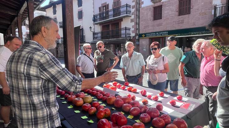 47 tomate barietate aurkeztu zituzten Doneztebeko lehiaketan