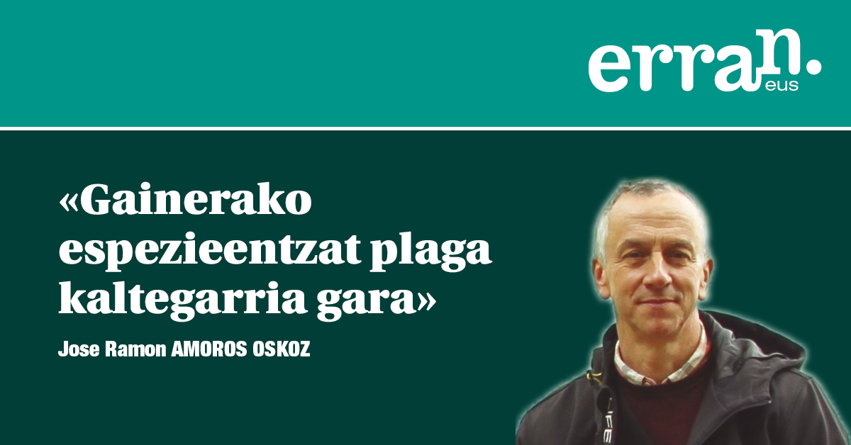 Seigarren suntsipen masiboa