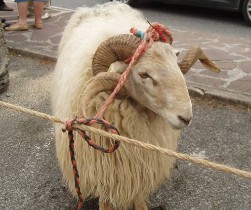 Udaberriko Feria