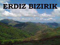 Erdiz saltzeko arriskuan