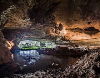 Sarako lezeetarako sarrera bikoitza