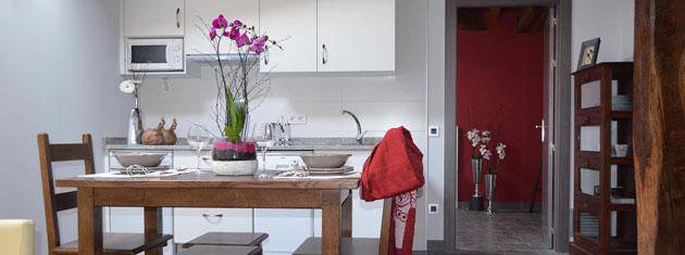 Bederatzi apartamentu turistiko eskaintzen ditu Iturengo Tresaneak