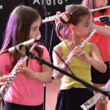 Aralar Musika Eskolako ikasleek kontzertua eskainiko dute ekainaren 8an Leitzan